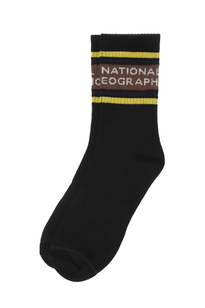 Logo Colour Stripe Socks